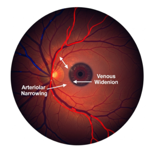 Google_AI_Studio_2025-12-31T19_44_46224Z