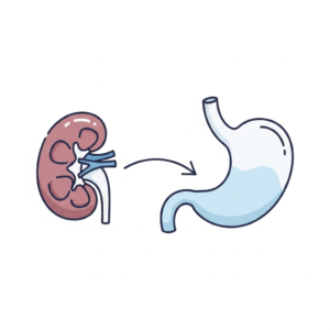 Google_AI_Studio_2026-01-01T16_02_17592Z